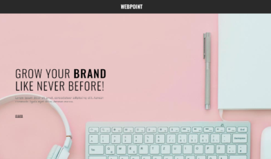 Responsive HTML5 and CSS3 Site Templates - Elect